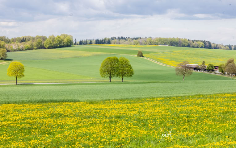 Immobilien Fotografie