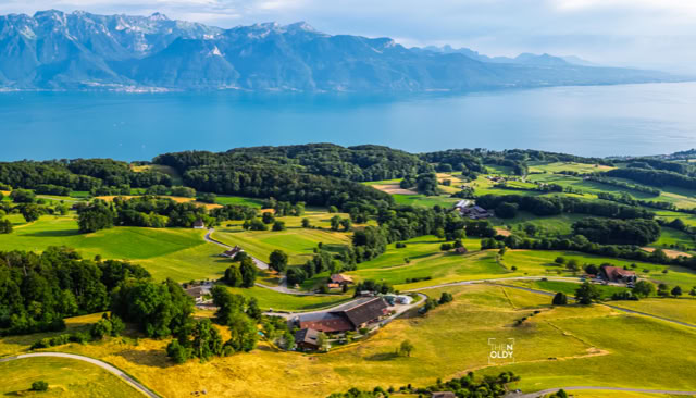 Landschaft mit grünen Feldern, Hügeln, einem See im Hintergrund und Bergen in der Ferne.